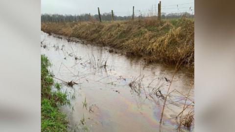 Gaywood River with oil present on the water