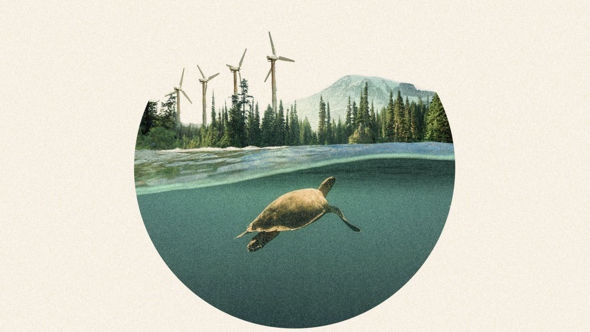 Future Earth newsletter promotional image, featuring composite shots of a turtle swimming against a backdrop of forests, mountains and wind turbines