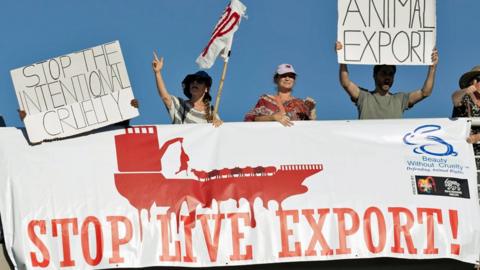 Protesters against live animal export, in Cape Town Harbour, South Africa - 19 February 2024