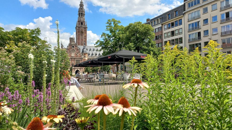 Exposing more of the ground in urban spaces can help absorb rainfall and reduce flooding, as well as boost biodiversity (Credit: City of Leuven)