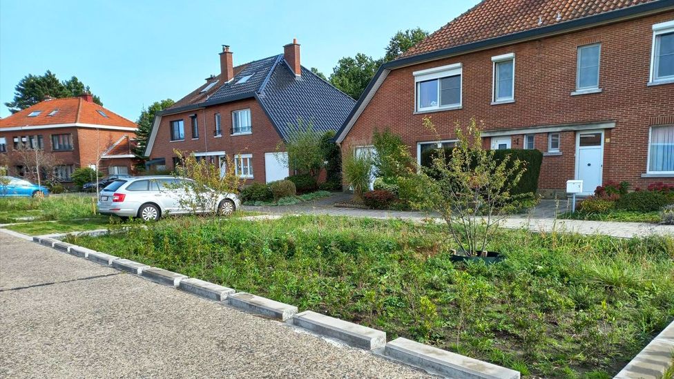 Local schemes are often backed by residents keen to see more green in their local area (Credit: City of Leuven)