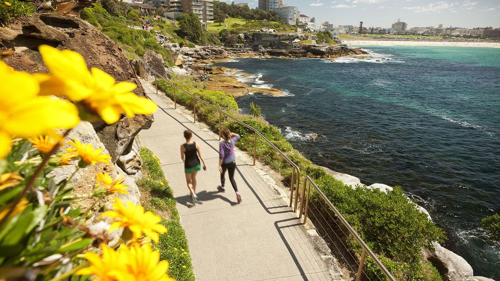 Coastal walk from Coogee to Bondi, with Bondi in the distance
