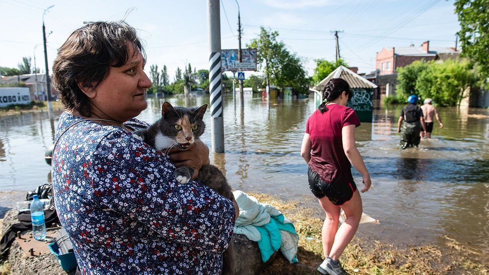 A Ukrainian holds her pet cat above flood from burst Kakhovka dam (Credit: Getty Images)